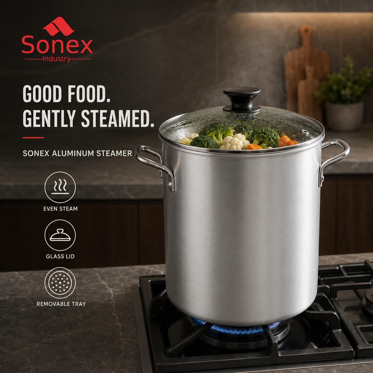 Sonex Anodized Steamer with Lid